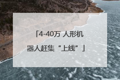 4-40万 人形机器人赶集“上线”
